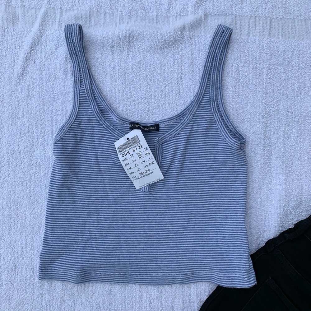 NWT Brandy Melville Striped Tank